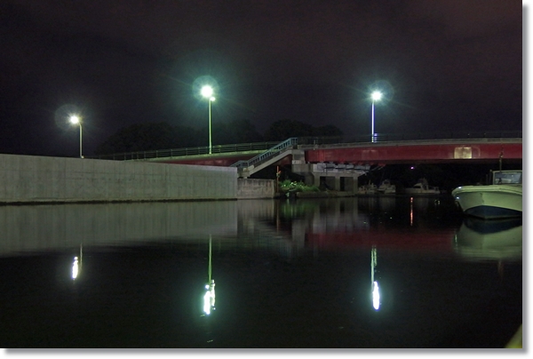 夜の貞山運河の風景