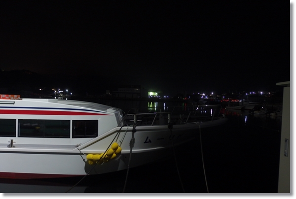 夜の港に係留される観光船