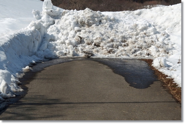 残雪に閉ざされた道路