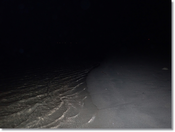 夜の鳴瀬川河口の砂浜