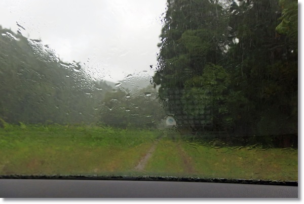 車の中から雨の農道