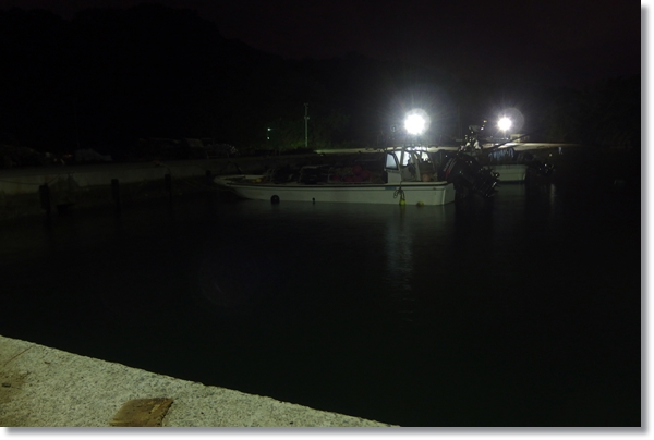 夜の奥松島室浜漁港