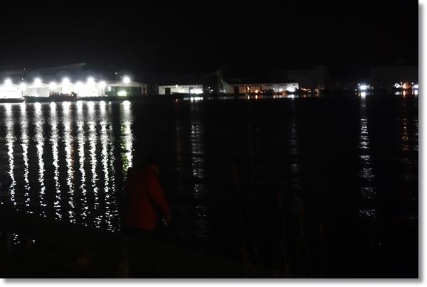 夜の塩釜港で釣りをする人