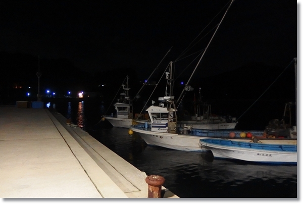 夜の牡鹿半島の漁港