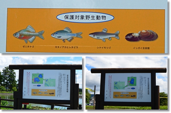 秋田横手市自然環境保全地域看板