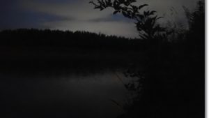 雨の降る名取川の夕マズメ